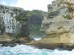 Tölpelkolonie, Māori Bay im Hintergrund