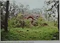 Ruine, 1999