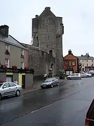 Roscrea Castle (2006)