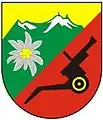 Internes Verbandsabzeichen