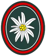 Verbandsabzeichen der Gebirgsjägerbrigade 23
