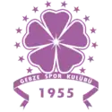 Gebzespor
