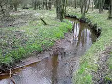 Geeste in Heinschenwalde
