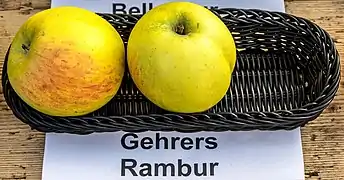 Ansicht der Frucht