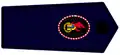 Stadt/Gemeinde Jugendfeuerwehrwart und Stellvertreter