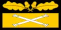 Tarnanzug