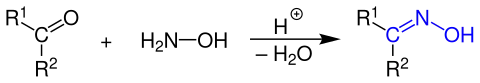 Allgemeine Reaktionsgleichung der Oxim-Bildung aus einer Carbonylverbindung und Hydroxylamin unter sauren Bedingungen