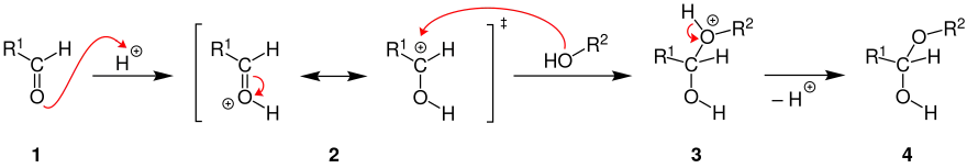Allgemeiner Reaktionsmechanismus der Halbacetal-Bildung