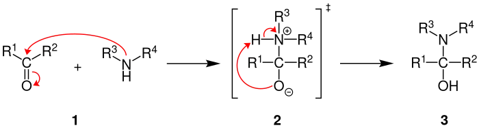 Allgemeiner Reaktionsmechanismus der Halbaminal-Bildung