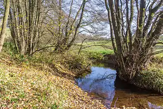 Der Genfbach