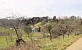 Blick auf den Weiler Gennenbach