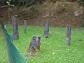 „Steinkohlenwald“, Abgüsse von in der Steinkohle gefundenen Baumstämmen.
