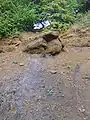 Kohleflöz „Wasserfall“: Ein im Oberkarbon (vor 320–296 Mio. Jahren) entstandenes stark verunreinigtes Flöz.
