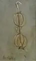 George Cope († 1929)Pair of spectacles1879