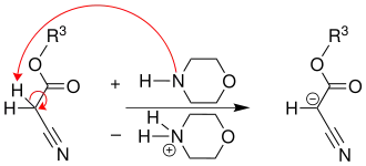 Reaktionsmechanismus der Gewald-Reaktion