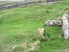 Giant’s Graves