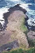 Giant’s Causeway von oben
