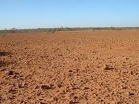 Harter, steiniger Wüstenboden (Gibber plains) im Sturt-Nationalpark