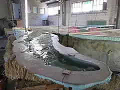 Detailansicht des Abgusses einer Seitenflosse