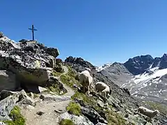 Gipfelkreuz des Hinteren Schönecks
