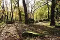 Gehölz und Felsblöcke auf der Kuppe (2020)