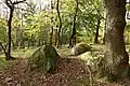 Gabbro-Blöcke auf der Kuppe (2020)