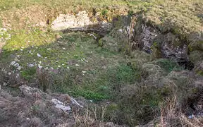 Doline