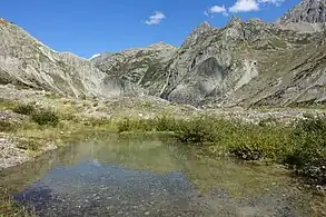 Grundmoränenlandschaft mit Tümpeln und ersten Moor­arten und Amphibien