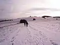 Nordwestseite des Gläserbergs im Winter