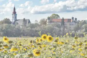 Blick vom Sulmtal Richtung Pfarrkirche St. Michael (links) und Schloss Gleinstätten (rechts).