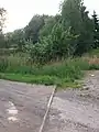 Gleisreste der Mittweidaer Industriebahn in der Nähe des Wasserturms Altmittweida (2016)