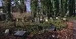 Alter jüdischer Friedhof (2020)