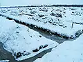Torfabbaufläche im Winter