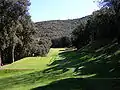 Loch 6 ist ein langes und enges Par 3 durch eine Waldschneise.