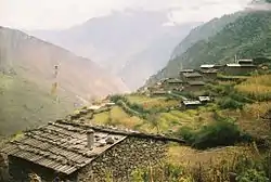 Goljung