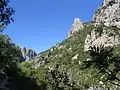 Aussicht vom Wanderweg
