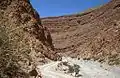 Schlucht des Todra
