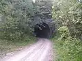 Tunnelportal bei Gornji Dolič (Oberdollitsch)