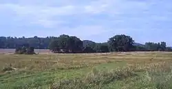 Blick aus südlicher Richtung auf die Großsteingräber