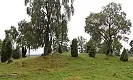 Mittlerer Bereich