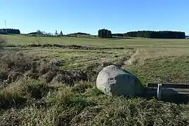 Quellgebiet der Feld­aist in Grün­bach, im Hinter­grund die Kirche St. Michael