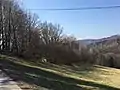 Gründberg-Südwall mit dem Grabungsabschnitt des Jahres 1997