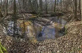 Geotop, Mäander der Gründlach
