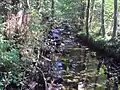 Großer Gerlachsbach kurz oberhalb vom Zufluss des Rotenbeeks bei Niedrigwasser