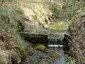 Teilgestauter Graben im Moor