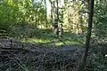 Grabhügel auf dem „Twischelberg“