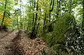 Eine von fünf Felsnischen auf dem Waldweg unter dem Skarbin