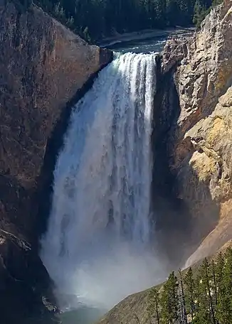 Die Lower Falls des Yellowstone River