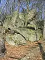 Granit-Felsklippe mit Kletterfelsen am Schenkenberghang in Lindenfels