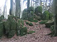 Granodioritfelsformation am Höhnberg mit typischen Verwitterungsmerkmalen (Spaltenbildung, Wollsackverwitterung, Vergrusung)